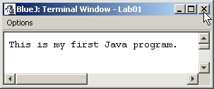 The Java Terminal Window
