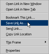 Save Link As Option